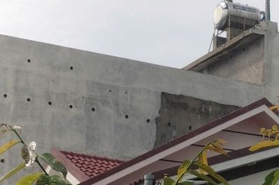 Tỉnh Gia Lai cấm nuôi chim yến trong khu dân cư, trung tâm đô thị