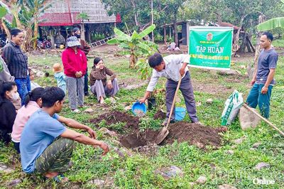 Đề án Tăng thu nhập trong diện tích đất vườn gắn với nhà ở: Thiết thực và hiệu quả