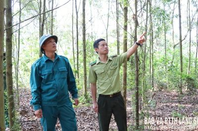 Cảnh báo nguy cơ cháy rừng cấp cực kỳ nguy hiểm trên địa bàn tỉnh
