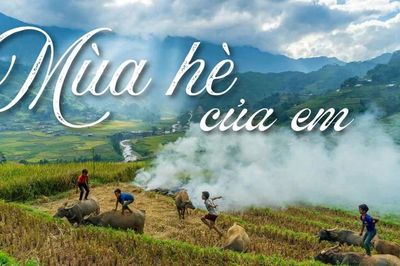 Mùa hè của em