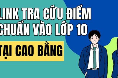 Link tra cứu điểm chuẩn vào 10 năm 2026-2027 tại Cao Bằng