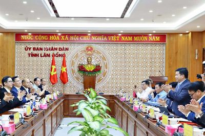 Lãnh đạo tỉnh Lâm Đồng làm việc với Novaland Group