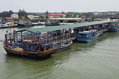 Vững vàng bám biển