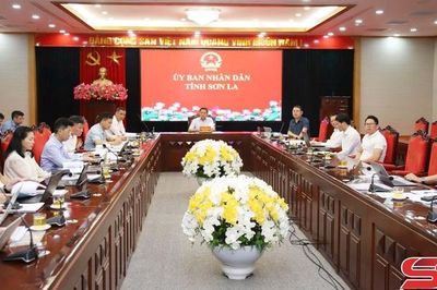 Đẩy nhanh tiến độ triển khai đầu tư các dự án điện năng lượng tái tạo