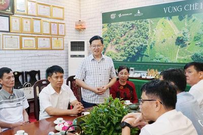 Đồng chí Đinh Quang Tuyên thăm và làm việc tại Công ty CP Chè Hà Thái