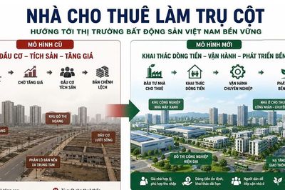 Thay đổi tư duy 'sở hữu nhà' bằng 'thuê dài hạn'