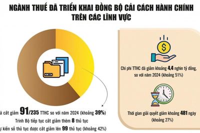 Cải cách thủ tục hành chính thuế: Từ định hướng 'một chạm' đến mục tiêu 'không chạm'
