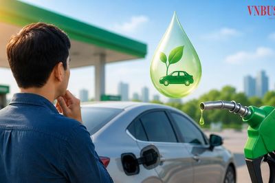Xe của bạn có dùng được xăng E10? Các hãng vừa công bố câu trả lời