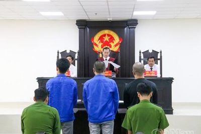 Triệt phá đường dây bán 'cỏ Mỹ' qua mạng xã hội, 3 bị cáo lãnh 27 năm tù