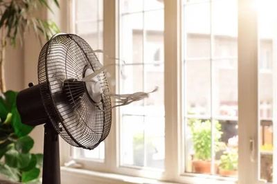 Không phải quạt nào cũng tiết kiệm điện: Chọn đúng thiết bị, hóa đơn mùa hè có thể giảm đáng kể