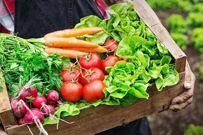 Chợ và sản phẩm hữu cơ - Cầu nối giữa nông nghiệp xanh và người tiêu dùng