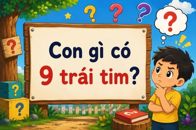 Con gì có 9 trái tim? đáp án thú vị khiến nhiều người bất ngờ
