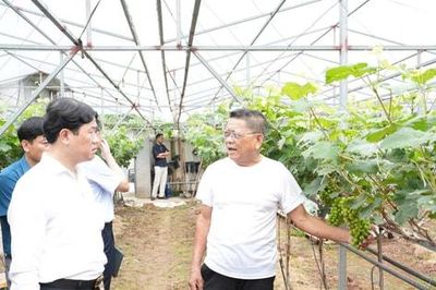 Những người 'gieo' khát vọng trên đồng đất Thuận An