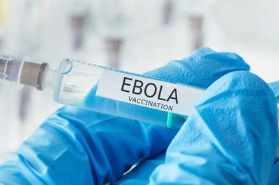 Cuộc đua điều chế vaccine Ebola xuất hiện những ứng viên 'nặng ký'