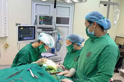 Cảnh báo ung thư da núp bóng những tổn thương tưởng chừng vô hại