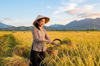 Giá lúa gạo hôm nay 4.6: Gạo xuất khẩu giảm, lúa trong nước vẫn vững giá