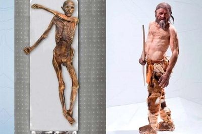 Phát hiện 'thế giới sống' bên trong xác ướp 5.300 năm tuổi