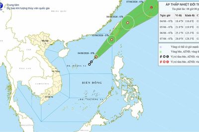 Từ Quảng Ninh đến Khánh Hòa chủ động ứng phó áp thấp nhiệt đới