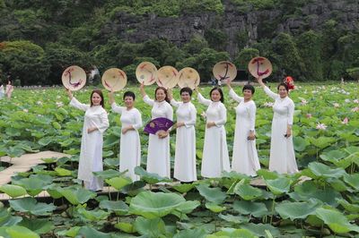 Ninh Bình rực rỡ sắc sen mùa hạ