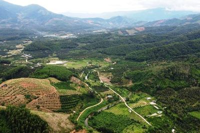 Gỡ nút thắt mặt bằng, tăng tốc đường liên vùng Khánh Hòa - Lâm Đồng - Ninh Thuận