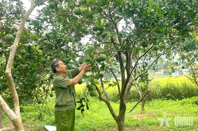 'Quả ngọt' từ ý chí, quyết tâm