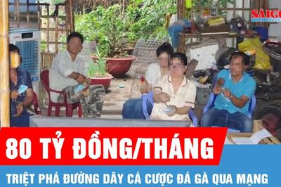 Triệt phá đường dây cá cược đá gà qua mạng, một tháng giao dịch 80 tỷ đồng
