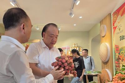 Vải thiều Lục Ngạn đầu vụ 'đổ bộ' Hà Nội