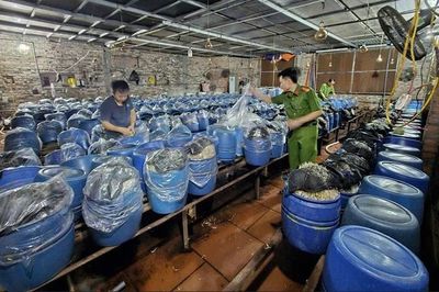 Khởi tố 3 chủ cơ sở tuồn ra thị trường gần 1.000 tấn giá đỗ ngâm hóa chất