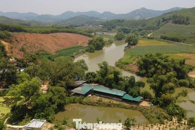 Bẫy bao tiêu sau những lời quảng cáo nuôi con đặc sản