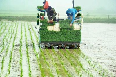 Nghệ An tạo đột phá trong phát triển nông nghiệp sạch, nông nghiệp chất lượng cao
