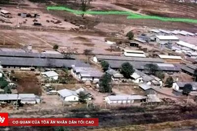 Khảo sát tìm kiếm khu chôn cất tập thể liệt sĩ vào năm 1968