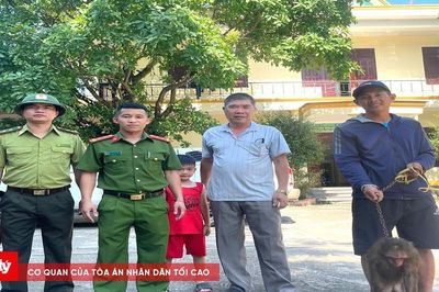 Khỉ mặt đỏ quý hiếm được thả về môi trường tự nhiên