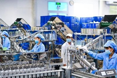 Hơn 142.600 doanh nghiệp gia nhập và tái gia nhập thị trường trong 5 tháng đầu năm
