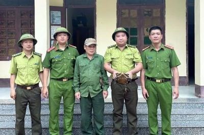 Phát hiện cá thể rùa núi viền quý hiếm tại Thanh Hóa