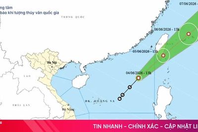 Theo dõi chặt chẽ diễn biến của áp thấp nhiệt đới để chủ động phòng tránh