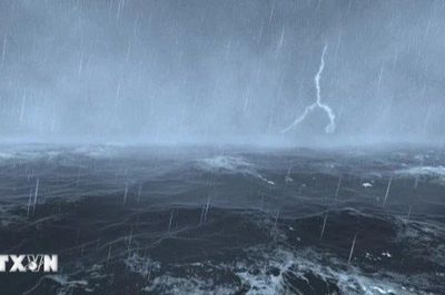 Đề nghị 14 tỉnh, thành phố chủ động ứng phó áp thấp nhiệt đới trên Biển Đông