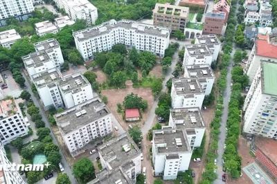 TP. Hồ Chí Minh: Công khai, minh bạch trong bán, cho thuê mua nhà ở xã hội
