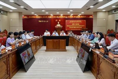Gia Lai cần có phương án xử lý tốt về tài sản công, trụ sở dôi dư