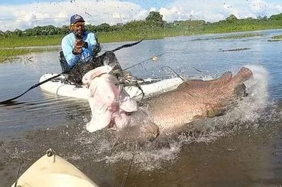 Cần thủ câu được con cá khổng lồ nặng 60kg, dài 2 mét