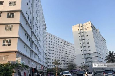 Tp.HCM tăng tốc phát triển gần 200.000 căn nhà ở xã hội, cảnh báo người dân tránh 'cò' làm hồ sơ