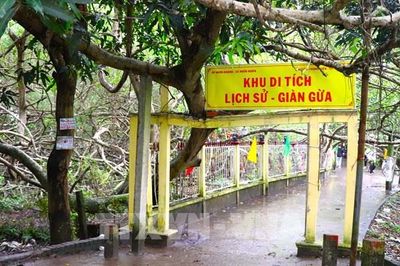 Di tích lịch sử Giàn Gừa - Cây di sản độc đáo tại Cần Thơ