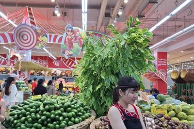 Khai mạc Tuần lễ trái cây Việt Nam năm 2026