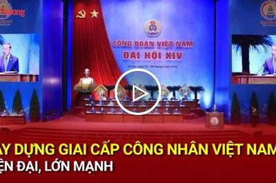 Xây dựng giai cấp công nhân Việt Nam hiện đại, lớn mạnh