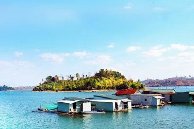 Sau cuộc rong ruổi của những người ly hương