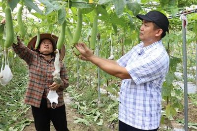 Cầu nối đưa phong trào nông dân đi lên