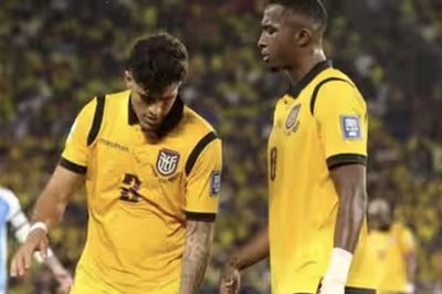 Hồ sơ tuyển Ecuador tại World Cup 2026: 'Bê tông' Nam Mỹ và tham vọng ngựa ô