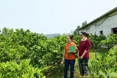 Đòn bẩy nâng tầm sản phẩm đặc sản Điện Biên