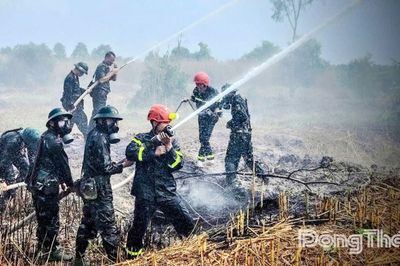 Đồng Tháp tăng cường các biện pháp phòng cháy, chữa cháy rừng mùa khô tại 23 xã có rừng