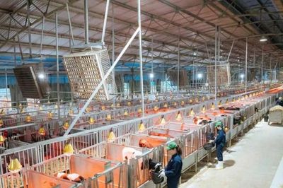 Doanh nghiệp chủ động tiết kiệm điện