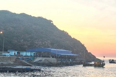Cho phép 7 hộ sản xuất, chế biến thủy sản tại Cảng cá Nhơn Lý hoạt động đến cuối năm 2026